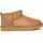 Chestnut 41