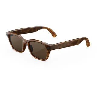 Meta Meta Adventurer, Klassisches Havana, Gläser: Braun AI Glasses