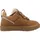 Chestnut 39