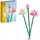 Lotusblumen 40647