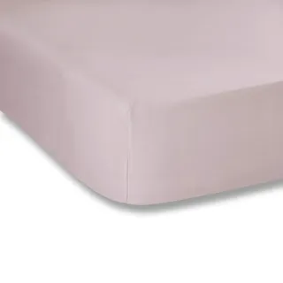 Bianca Plain Dyed Cotton Perkal Pink 200TC Fitted Sheet 120 x 200 cm