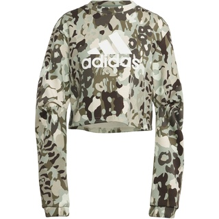 Adidas Damen Sweatshirt (Long Sleeve) W AOP SWT, Silver Green/White, IC0578, XL