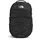 TNF Black/TNF White/NPF
