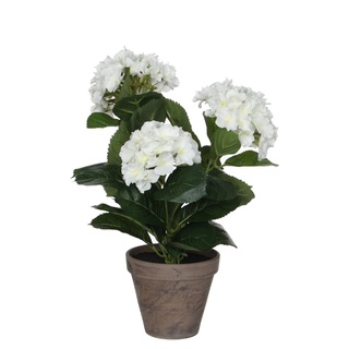 Mica Kunstpflanze Hortensie im Topf weiß, 40 x 35 cm