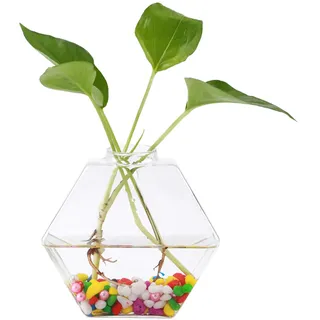 Transparente Hängevase (sechseckige Form)