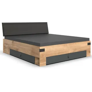 Lomadox Bettgestell Doppelbett Bett Liegefläche 180x200cm Industrial Look mit 2 Bettkästen Klappe Eiche Graphit 189x96x210 cm