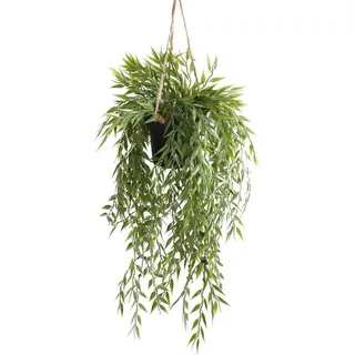 Emerald Bamboo