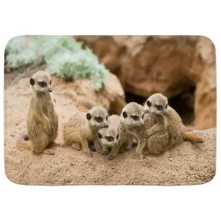 IUBBKI Welcome Mats Gummi Schmutzfangmatte Tier Wildtier Erdmännchen in der Prärie Höhle Fußmatte für Eingang Flur Terrasse 40 x 60 cm