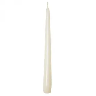 Sovie CANDLES Spitzkerzen 24 cm Champagner 50 St.