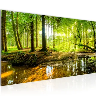 Bilder Wald Landschaft Wandbild Vlies - Leinwand Bild XXL Format Wandbilder Wohnzimmer Wohnung Deko Kunstdrucke Grün 1 Teilig - MADE IN GERMANY - Fertig zum Aufhängen 611712a