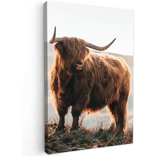 MuchoWow© Leinwandbild Dekoration Wohnzimmer Bilder Aufhängen Wall | 40x60 cm - Decoration Living Room Wohnungs Deko Moderne Schottisches Hochlandrind - Highland Cow - Tiere - Landschaft - Kuh