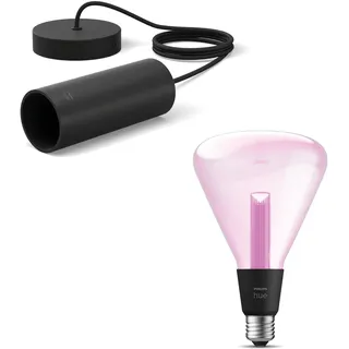 Philips Hue Lightguide Hängelampe (Schwarz) - E27 - Dreieckslampe | Weiß/Farbe - Hue White and Color Ambiance