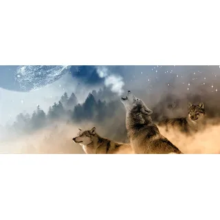 hansepuzzle 35425 - Wolf Panorama-Puzzle 2000 Teile - Tierwelt Motiv mit hochwertiger Aufbewahrung: Kartonbox und wiederverschließbarem Beutel - Format 116,6 × 46,7 cm