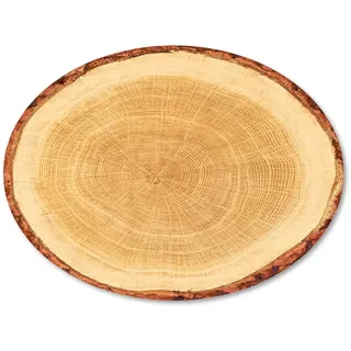 PresentFill® Geschenkboden Dekoplatten - Baumscheibe - 50 Stück - M- oval 300 x 200 mm - 100% Recyclingkarton - Made in Germany