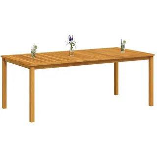 vidaXL Gartentisch 200 x 100 x 74 cm braun