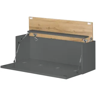 Lomadox Sekretär CRISP-61, in anthrazit mit Wotan Eiche, ca. 100/35/30 cm grau