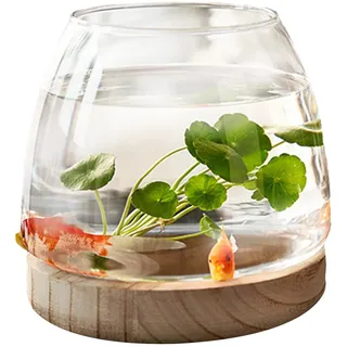Glas Fischglas mit Holzsockel, Kugelaquarium Fischbecken Kleine für Kampffische Goldfische, Transparent Terrarium für Pflanzen, Hydroponische Pflanzenterrarium Blumenvase Fischschale Glas Zuhause Deko