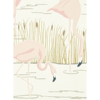 Flamingo Tapete Salinas v. Harlequin - Champagne/ Rose/ Gold