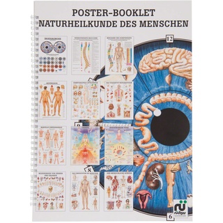 Naturheilkunde des Menschen Mini-Poster Booklet Anatomie 34x24 cm, 12 Poster