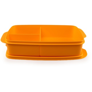 Tupperware To Go Lunchbox Clevere Pause 1 L Orange mit Trennwand (inkl. 1x Bio Saatgut)