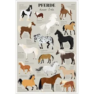 Famanu Poster Pferde - Detailreiche Illustrationen - 61 x 91,5 cm - Mehrere Farben