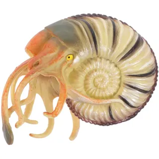 Happyyami Nautilus-Modell Spielzeug für Kinder Würfel aufblasen Kinderspielzeug Kinder Spielzeug Modelle Spielzeuge Simulation von Meerestierornamenten gefälschtes Meerestierspielzeug