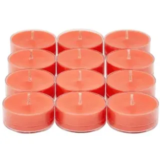 PartyLite Grapefruit & Rosmarin, 12 Stück