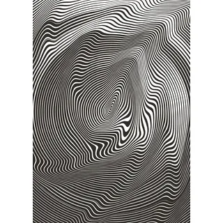 Ulmer Puzzleschmiede - Impossible Puzzle Irrwitz - Unser Motiv speziell für Puzzle-Freaks - Schwarz-weiß-graue geometrische Linien - Profipuzzle, Nichts für Anfänger