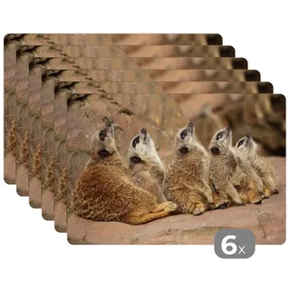 MuchoWow Platzset Erdmännchen - Felsen - Natur, (6-St), Platzsets, Tischset, Abwaschbar, Tischsets, Platzdeckchen bunt