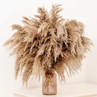 GOALS 20-Stück Flauschiges Pampasgras 60cm hoch braun Boho Raumdekoration Pampas-Blumenstrauß Hochzeit Herbst Heimdekoration