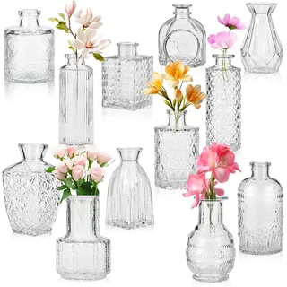 Mini Vasen Set, 12 Stück Kleine Glasvase Vintage Deko Vasen Set, Verschiedene Groessen Blumenvase Kleine Vase Glasvasen für Tischdeko Mittelstücke, Hochzeitsdekorationen Transparent