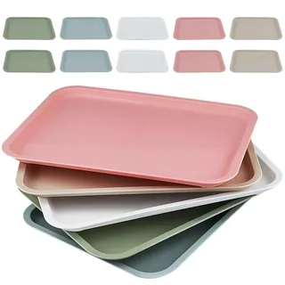 KEILEOHO Bunte Serviertabletts aus Kunststoff, 30 x 23 cm, kleine Fast-Food-Tabletts für Cafeteria, Restaurant, 5 Farben, 15 Stück