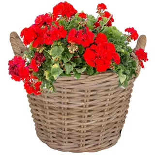 Annastore Weidenkorb Pflanzkorb aus Weide mit Henkel und Innenfolie Blumenkorb Pflanzkorb