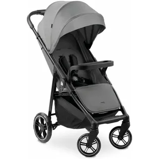hauck Shop N Care Grau