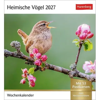Harenberg Heimische Vögel Postkartenkalender 2027
