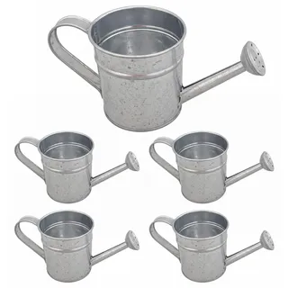 5er-Pack Mini-Gießkanne, kleine Gießkanne aus Metall für Zimmerpflanzen, aus verzinktem Eisen für Kinder im Garten, Sukkulenten, Bonsai, silberner Mini