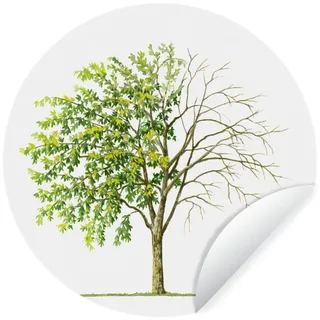 MuchoWow Wandsticker Eine Illustration eines Goldregenbaums, der seine Blätter verliert (1 St), Runde Aufkleber für Kinderzimmer, Selbstklebend, 120x120 cm bunt 120 cm x 120 cm x 0.1 cm