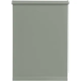 GARDINIA Seitenzugrollo 45 x 150 cm grau