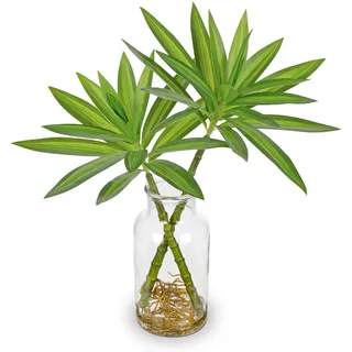Oairse Künstliche Dracaena-Pflanze in Glasvase mit Künstlichem Wasser Dekorative Kunstpflanze, Künstliche Dracaena Reflexa Zimmerpflanze für die Dekoration von Zuhause, Büro, Küche, Badezimmer, Tisch