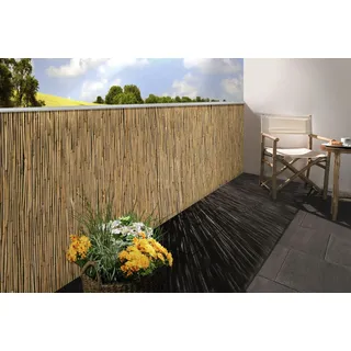 Floraworld Sichtschutzmatte Schilfrohr 100 x 600 cm verzinkt