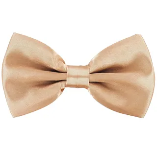 axy Herren Fliege Schleife, bereits gebunden, Konfirmation verstellbar in verschiedenen Farben FLI1 (Beige)