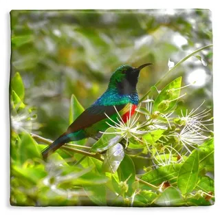 MuchoWow Dekokissen Vogel zwischen den Blättern im Dschungel, Kissenbezüge, Kissenhülle, Deko Kissenbezug, Kissen, 50x50 cm bunt Quadratisch | 50 cm x 15 cm x 50 cm