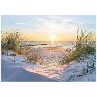 WallArena - Vlies Fototapete Strand und Meer Nordsee Natur Dünen Sonne 104x70 cm - Fototapeten - Tapeten - für Wohnzimmer Schlafzimmer - Vliestapete Wandtapete Tapete 3D Effekt- inkl. Kleister