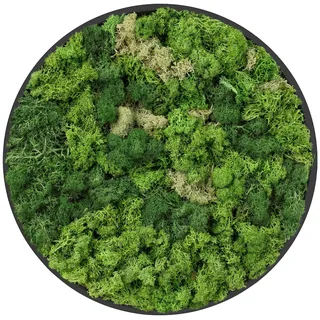 ECD Germany Moosbild Rund Ø 40 cm Mooswand Indoor mit echtem Islandmoos, Wanddeko mit Holzrahmen, Wandbild 3D-Effekt, Natürliche Optik, Pflegefrei
