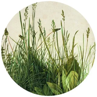 K&L Wall Art Vliestapete »Runde Vliestapete«, Dürer Löwenzahn Vintage Wiese, mehrfarbig, matt - bunt