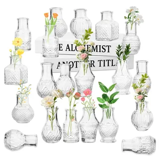 Kleine Glasvasen Set 20 Stück Kleine Vasen für Tischdeko Mini Vasen Tischvase Vintage Deko Transparente Blumenvase Klein Glasvase für Hochzeitsdekorationen und Wohnzimmer Deko