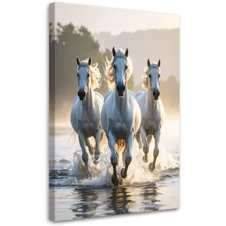 Feeby Pferde Leinwand 20x30 cm