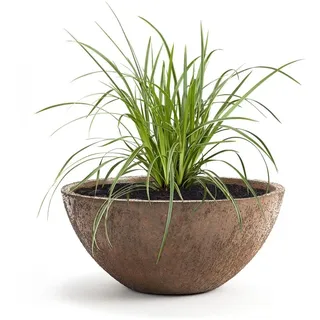 Pflanzwerk® Pflanzkübel Pflanzschale Bowl Ø 45cm Rost *Frostbeständige Blumenschale* *Premiumqualität* *Lotus-Effekt Imprägnierung*