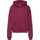Hoodie Pink Smoke/Sail M