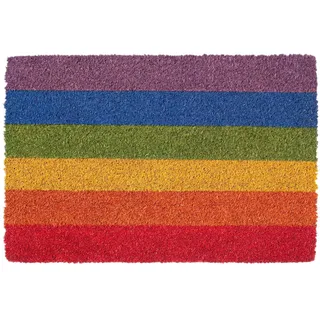 Nicola Spring Coir -Türmatte - 60 X 40cm - Regenbogen
